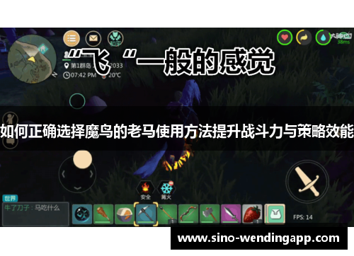 如何正确选择魔鸟的老马使用方法提升战斗力与策略效能