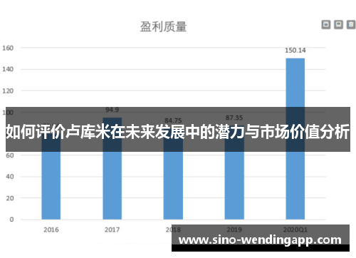 如何评价卢库米在未来发展中的潜力与市场价值分析