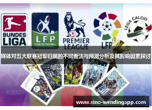 媒体对五大联赛冠军归属的不同看法与预测分析及其影响因素探讨