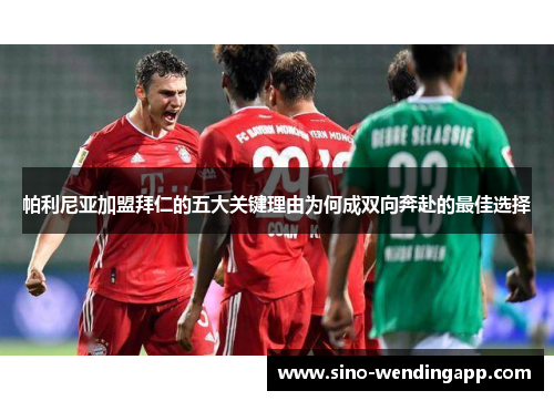 帕利尼亚加盟拜仁的五大关键理由为何成双向奔赴的最佳选择