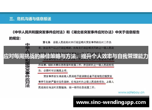 应对每周挑战的最佳策略与方法，提升个人效率与自我管理能力