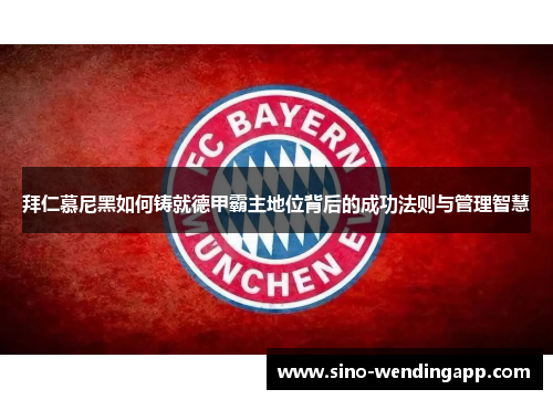 拜仁慕尼黑如何铸就德甲霸主地位背后的成功法则与管理智慧