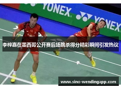 李梓嘉在墨西哥公开赛后场跳杀得分精彩瞬间引发热议