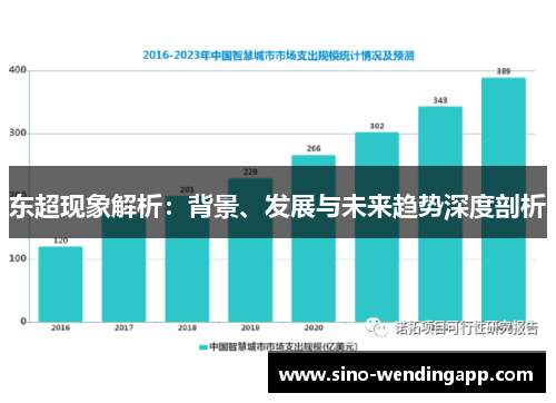 东超现象解析：背景、发展与未来趋势深度剖析