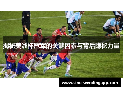 揭秘美洲杯冠军的关键因素与背后隐秘力量