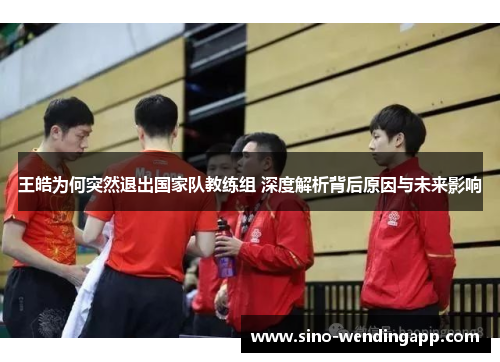 王皓为何突然退出国家队教练组 深度解析背后原因与未来影响