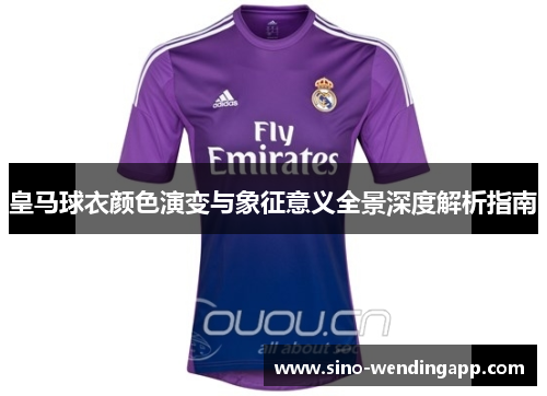 皇马球衣颜色演变与象征意义全景深度解析指南