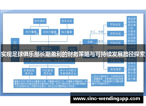 实现足球俱乐部长期盈利的财务策略与可持续发展路径探索 实现足球俱乐部长期盈利的财务策略与可持续发展路径探索