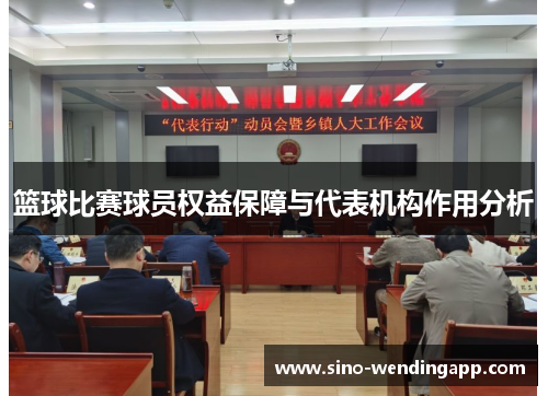 篮球比赛球员权益保障与代表机构作用分析