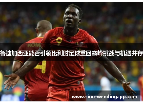 鲁迪加西亚能否引领比利时足球重回巅峰挑战与机遇并存 鲁迪加西亚能否引领比利时足球重回巅峰挑战与机遇并存